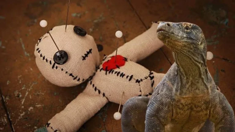 ವಶೀಕರಣಕ್ಕಾಗಿ ಹಲ್ಲಿ ಜನನಾಂಗ ಕೊಡುವ ಮಾಂತ್ರಿಕ!